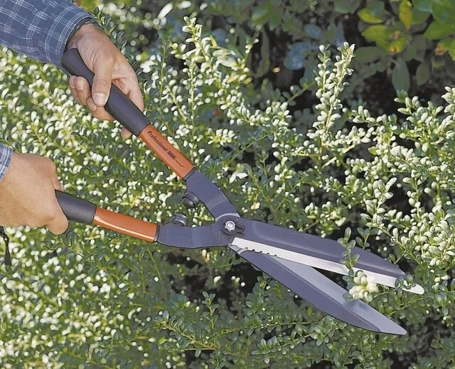 BAHCO HEGGENSCHAAR P51F