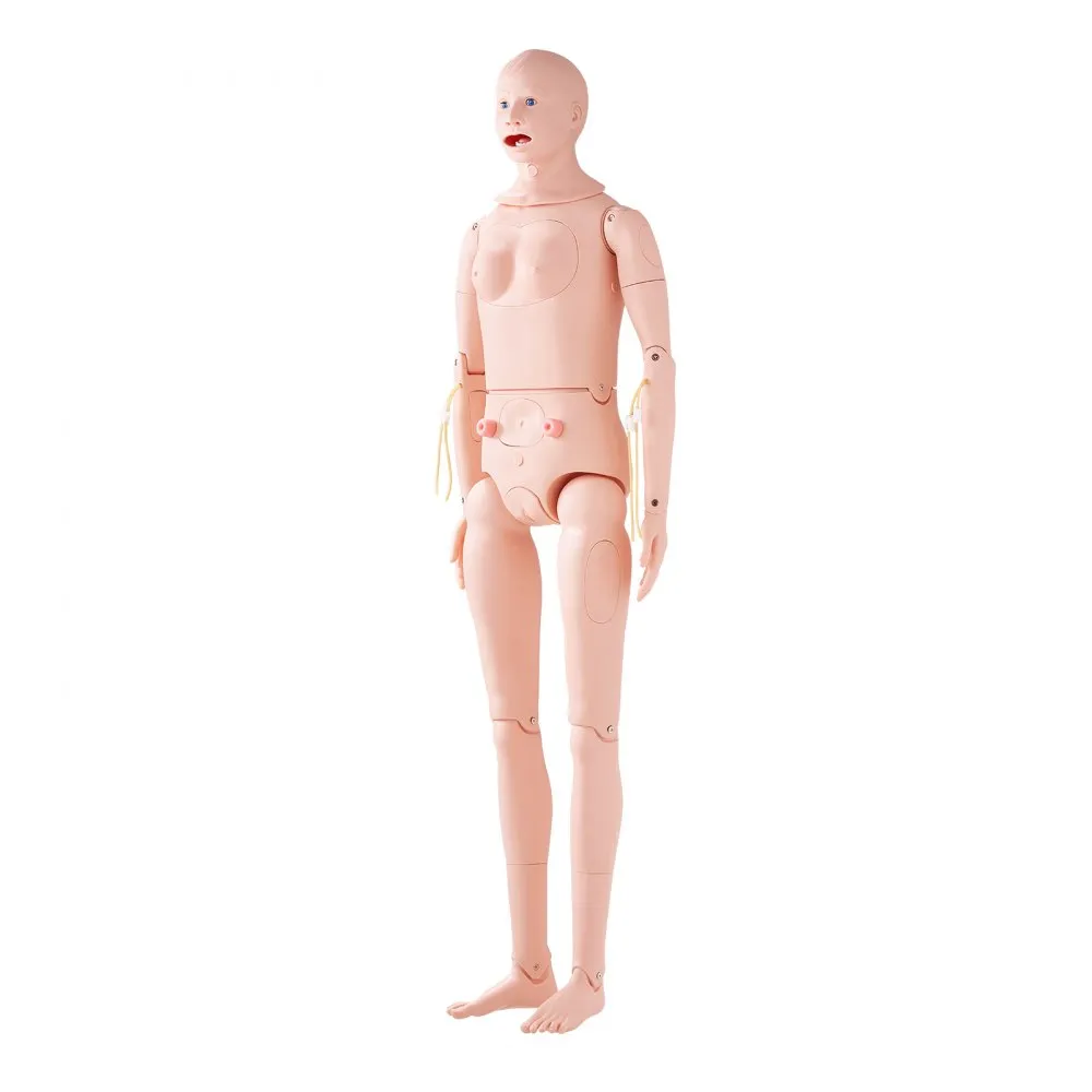 VEVOR mannelijke/vrouwelijke oefenpopmodel anatomische verpleegopleiding